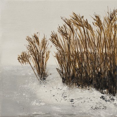  od Sandy Iseli