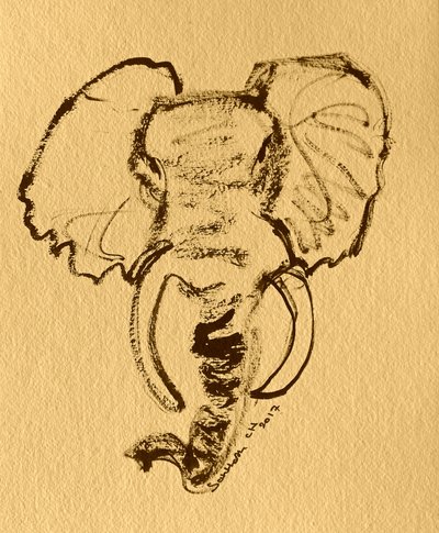 Skica afrického slona od Santhosh ch