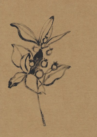 Botanická ilustrace v zemitých tónech od Santhosh ch