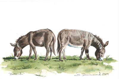 Záložky, 2024 (akvarel na papíře) od Sarah Drummond