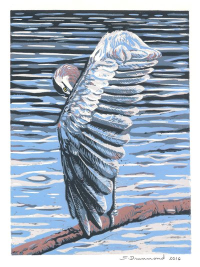 Reflexe, 2016 (malba) od Sarah Drummond