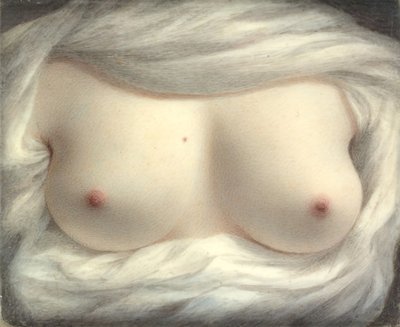 Krása odhalena, 1828. od Sarah Goodridge