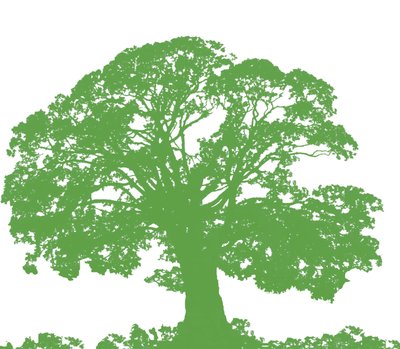 Climbing Tree, 2009 (digitální) od Sarah Hough