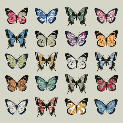 Papillon, 2008 (digitální) od Sarah Hough