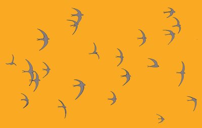 Swifts, 2017 od Sarah Hough
