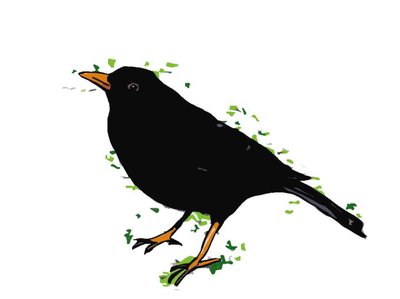 Blackbird, 2018, (digitální kresba) od Sarah Thompson-Engels
