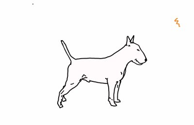 Bulteriér, 2018, (digitální kresba) od Sarah Thompson-Engels