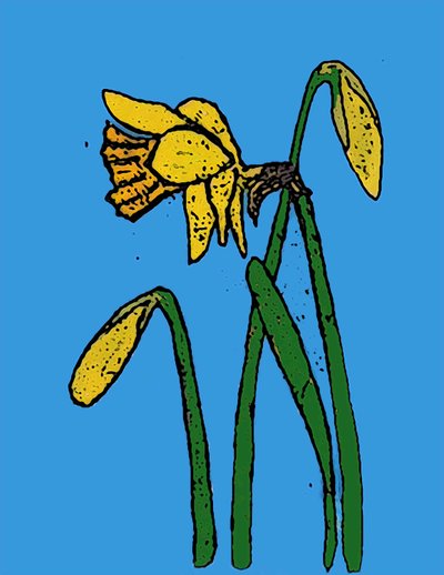 Narcisy, 2015 (monotisk s inkousty) od Sarah Thompson Engels