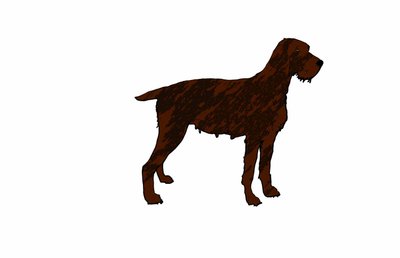 Pes, 2018, (digitální kresba) od Sarah Thompson-Engels