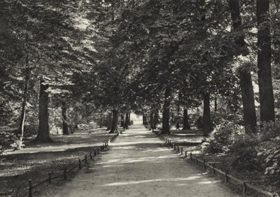 Berlín: Tiergarten (černobílá fotografie) od Sasha Stone