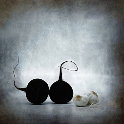  od Saskia Dingemans