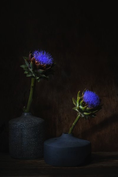  od Saskia Dingemans
