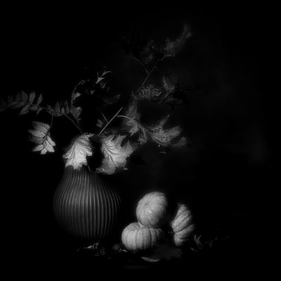  od Saskia Dingemans