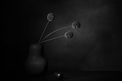  od Saskia Dingemans