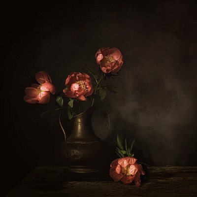  od Saskia Dingemans