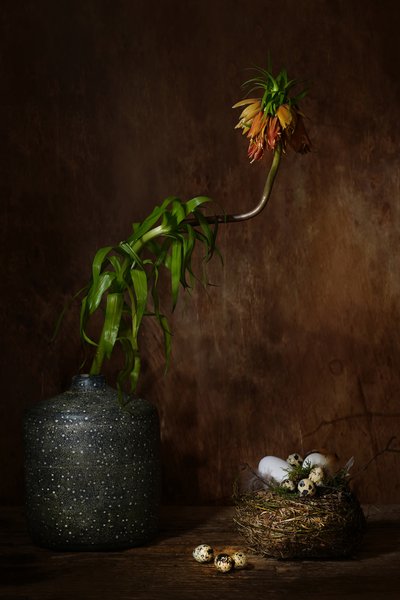  od Saskia Dingemans
