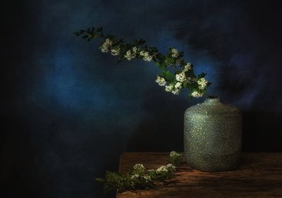  od Saskia Dingemans