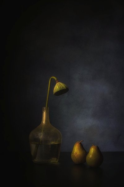  od Saskia Dingemans