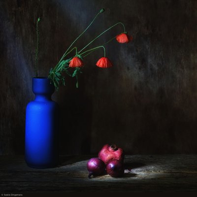  od Saskia Dingemans