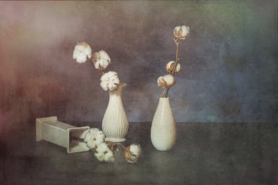  od Saskia Dingemans