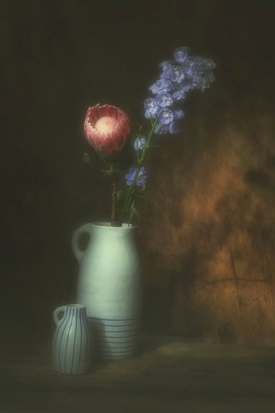  od Saskia Dingemans