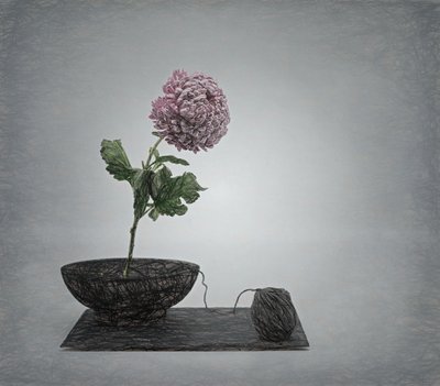  od Saskia Dingemans