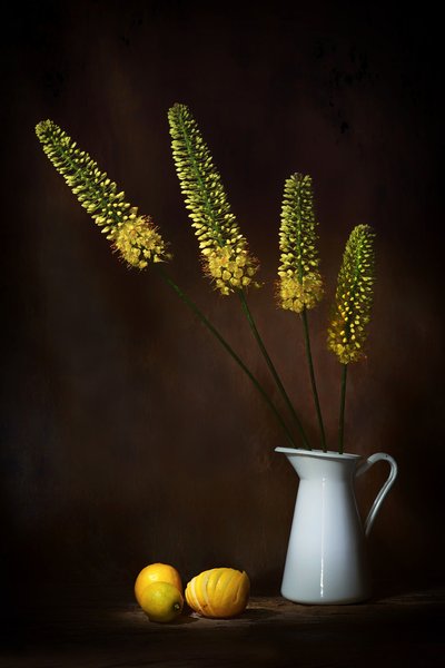  od Saskia Dingemans