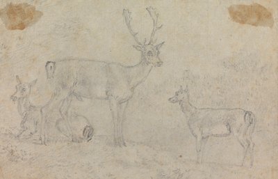 Buck and Two Deer od Sawrey Gilpin