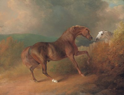 Jupiter plukovníka Thorntona, u Eclipse out of a Mare od Tartara, u plotu, s Grey Mare, v Thornville Royal, 1792 od Sawrey Gilpin