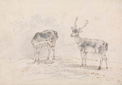 Doe a Buck od Sawrey Gilpin