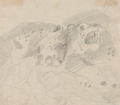 Dva leopardi od Sawrey Gilpin