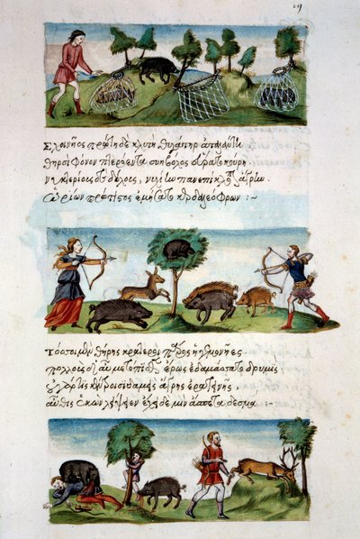 Art Byzantium: wild boar hunting. Different hunting techniques. Top: capture of beets in nets. In the center game hunting for a bow. Bottom: hunters attack by animals. Miniature in “” De venatione”” folio 19, by Oppian of Syria od School Byzantine
