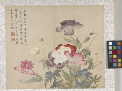 8listé album květin, polovina 17. století (tuš a barva na papíře) od School Chinese