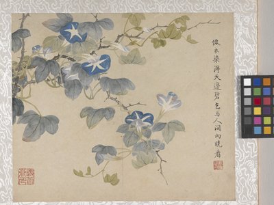 8listé album květin, polovina 17. století (tuš a barva na papíře) od School Chinese
