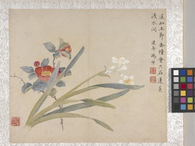 8listé album květin, polovina 17. století (tuš a barva na papíře) od School Chinese