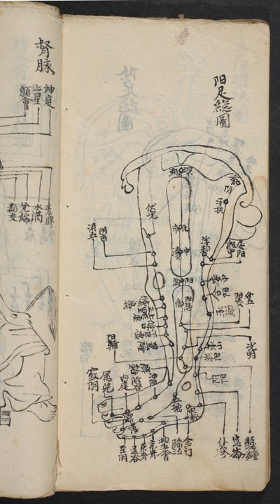 Akupunkturní body na noze, od Jing Guan Qi Zhi, 