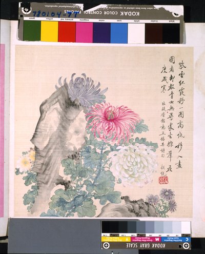 Album květin a ptáků, datum neznámé (tuš a barva na hedvábí) od School Chinese