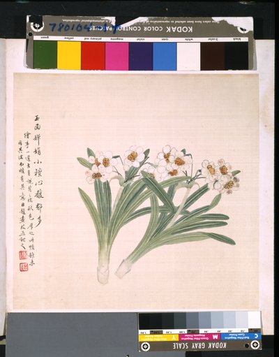 Album květin a ptáků, datum neznámé (tuš a barva na hedvábí) od School Chinese