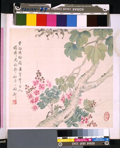 Album květin a ptáků, datum neznámé (tuš a barva na hedvábí) od School Chinese