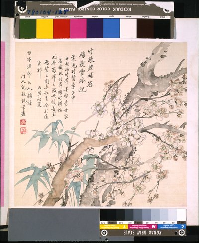 Album květin a ptáků, datum neznámé (tuš a barva na hedvábí) od School Chinese