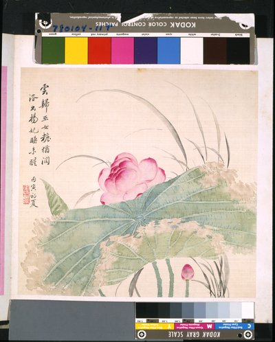 Album květin a ptáků, datum neznámé (tuš a barva na hedvábí) od School Chinese