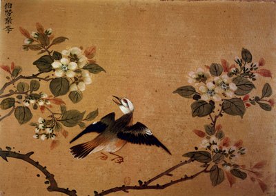 Čínské umění: pták a květiny. Malba na hedvábí 16. století. Paříž, B.N. od School Chinese