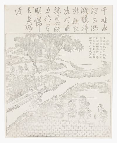 Pěstování rýže od School Chinese