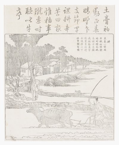 Orba s vodním buvolem v bahnité rýži paddy. od School Chinese