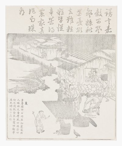 Prosévání rýže od School Chinese