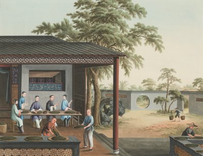Výroba čaje, kolem roku 1820 (tělová a zlatá barva na hedvábí položená na papíře) od School Chinese