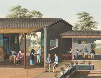 Výroba čaje, kolem roku 1820 (tělová a zlatá barva na hedvábí položená na papíře) od School Chinese