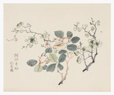 Deset bambusových seriálů od School Chinese