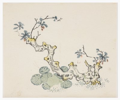 Deset bambusových seriálů od School Chinese