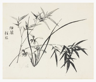 Deset bambusových seriálů od School Chinese
